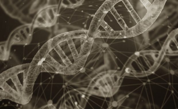 Stylized image of double helix strands of DNA
