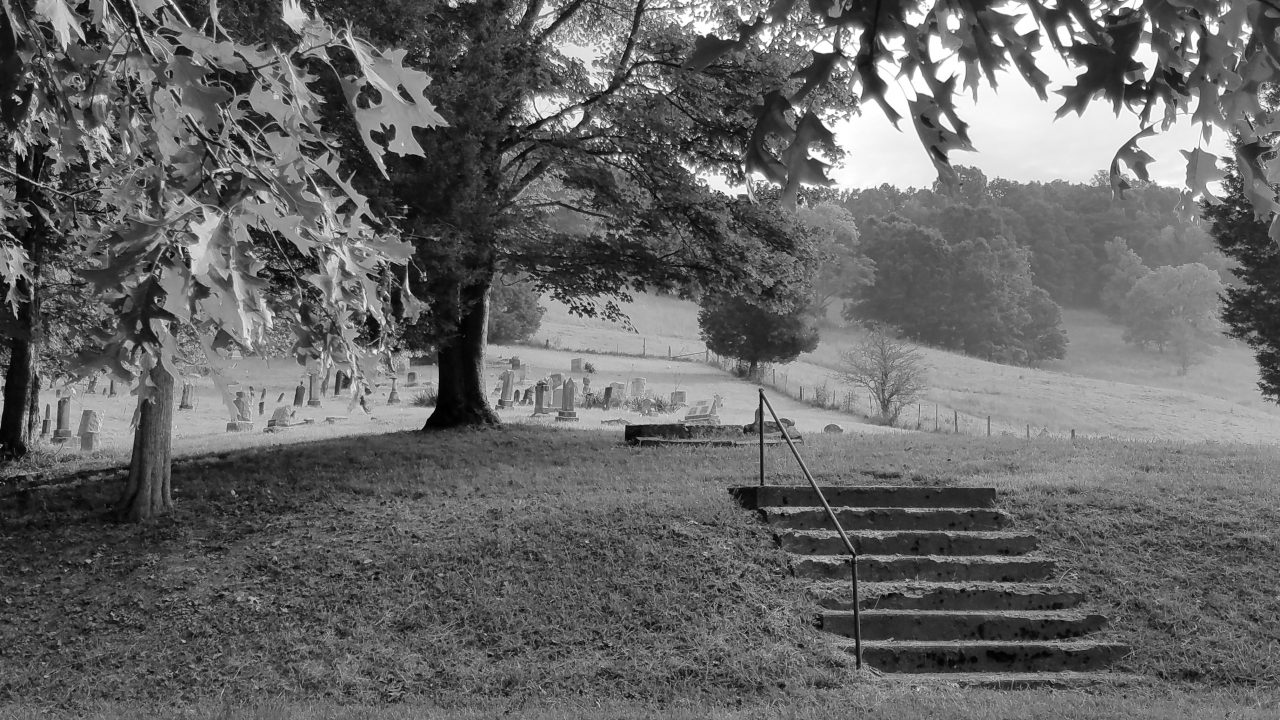 Photograph of old steps leading up a hill with trees, with an old cemetary visible in the background higher up the hill.