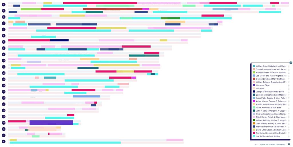 Mary's Chromosome Map Using DNA Painter